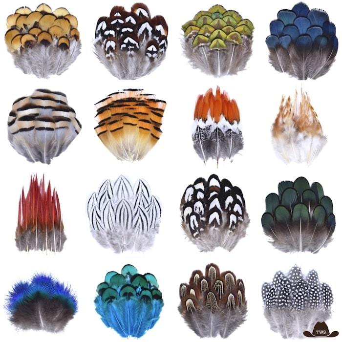 Plumes Pour Chapeau naturelles, dimensions de 3 à 30 cm