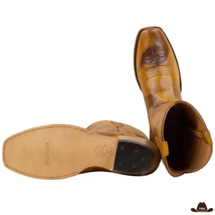 Bottines de Country Homme
