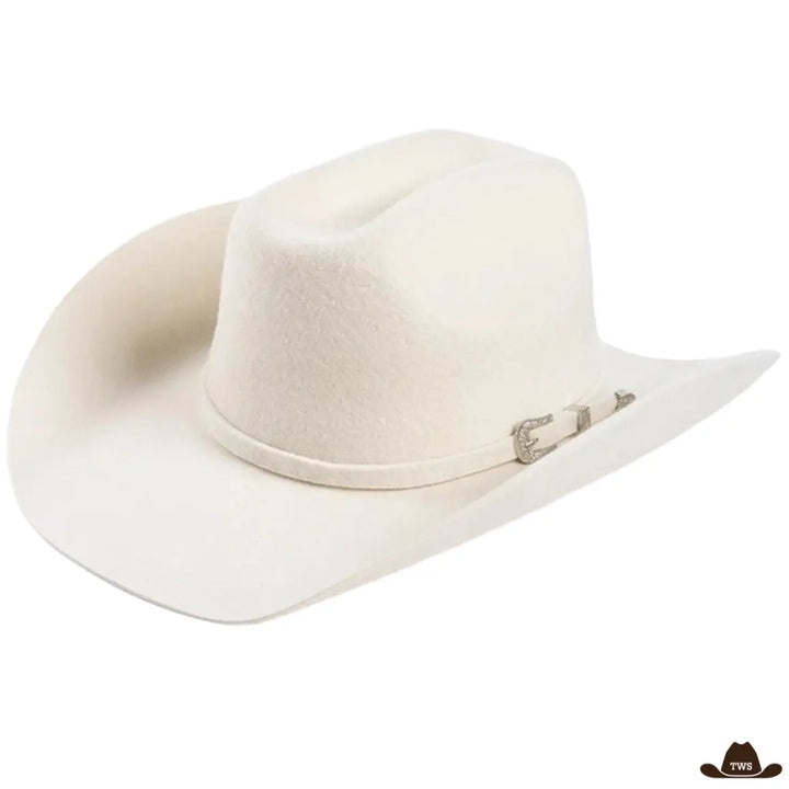 Chapeau Western Style Rancher Blanc