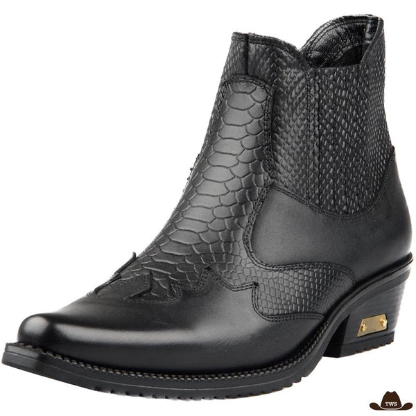 Bottines à Bout Pointu Type Country