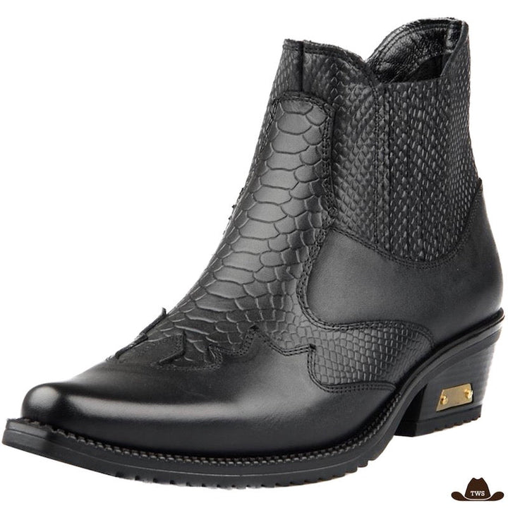 Bottines à Bout Pointu Type Country