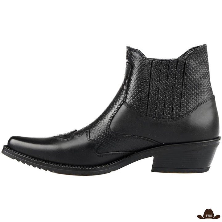 Bottines Bout Pointu Type Country