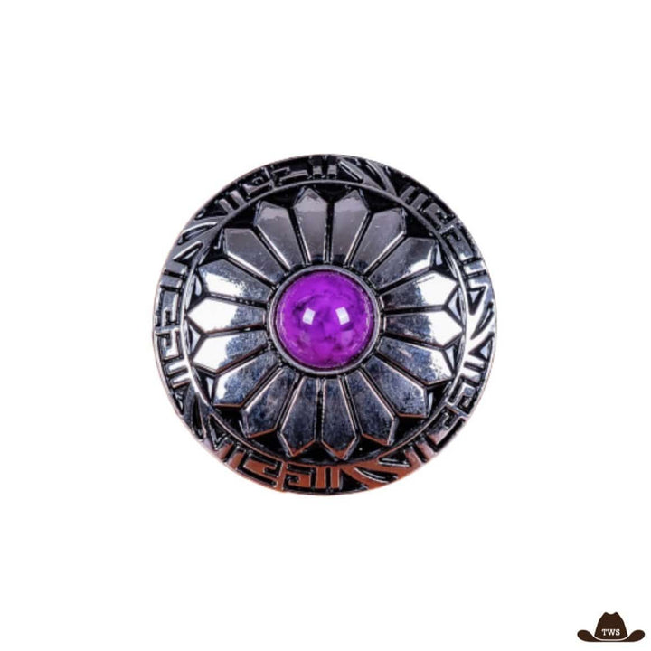 Conchos Colorés Mauves