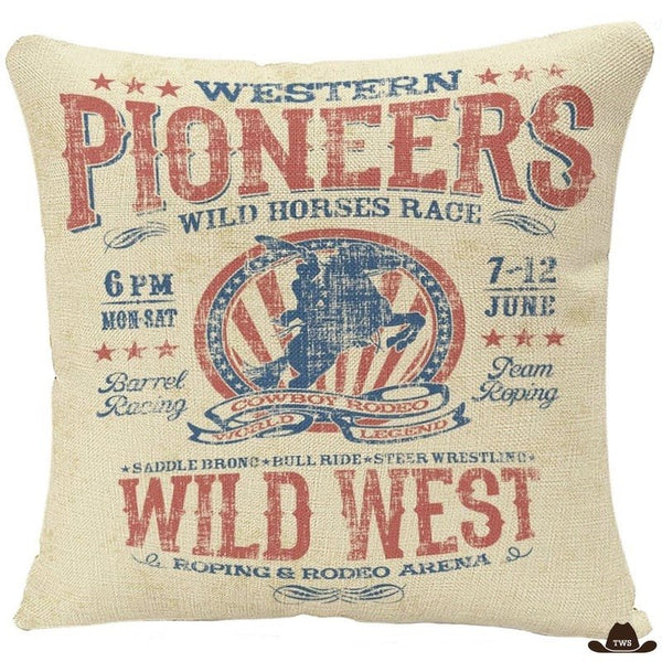 housse coussin usa